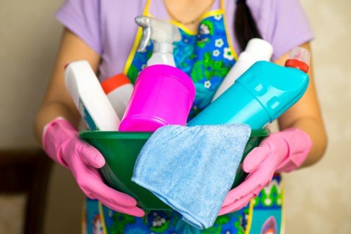 Professional sofa cleaning service for Chelsea homes and apartments