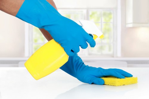Window cleaning for Chelsea townhouses and period homes