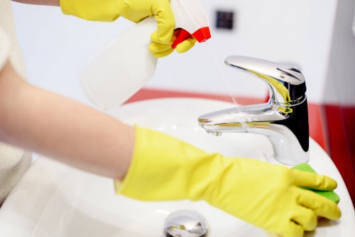 Local Chelsea cleaner working in a period townhouse interior