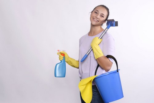 Professional gutter maintenance for residential buildings in Chelsea