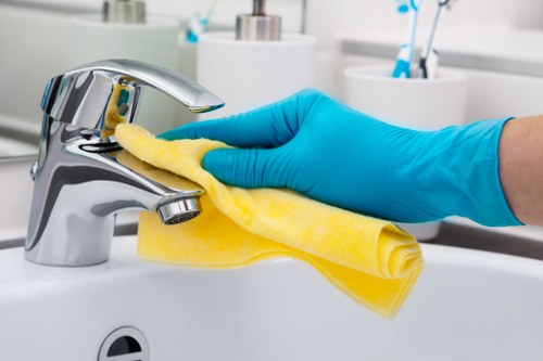 Kitchen and bathroom preparation for move in cleaning in Chelsea